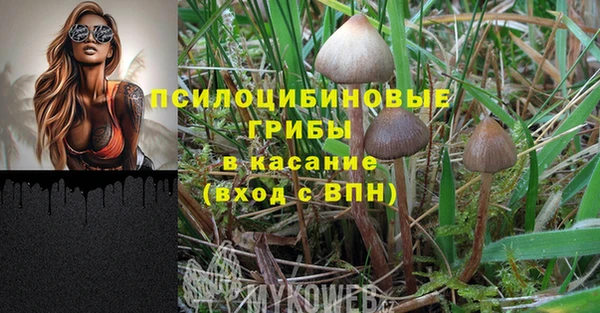 ПСИЛОЦИБИНОВЫЕ ГРИБЫ Алзамай